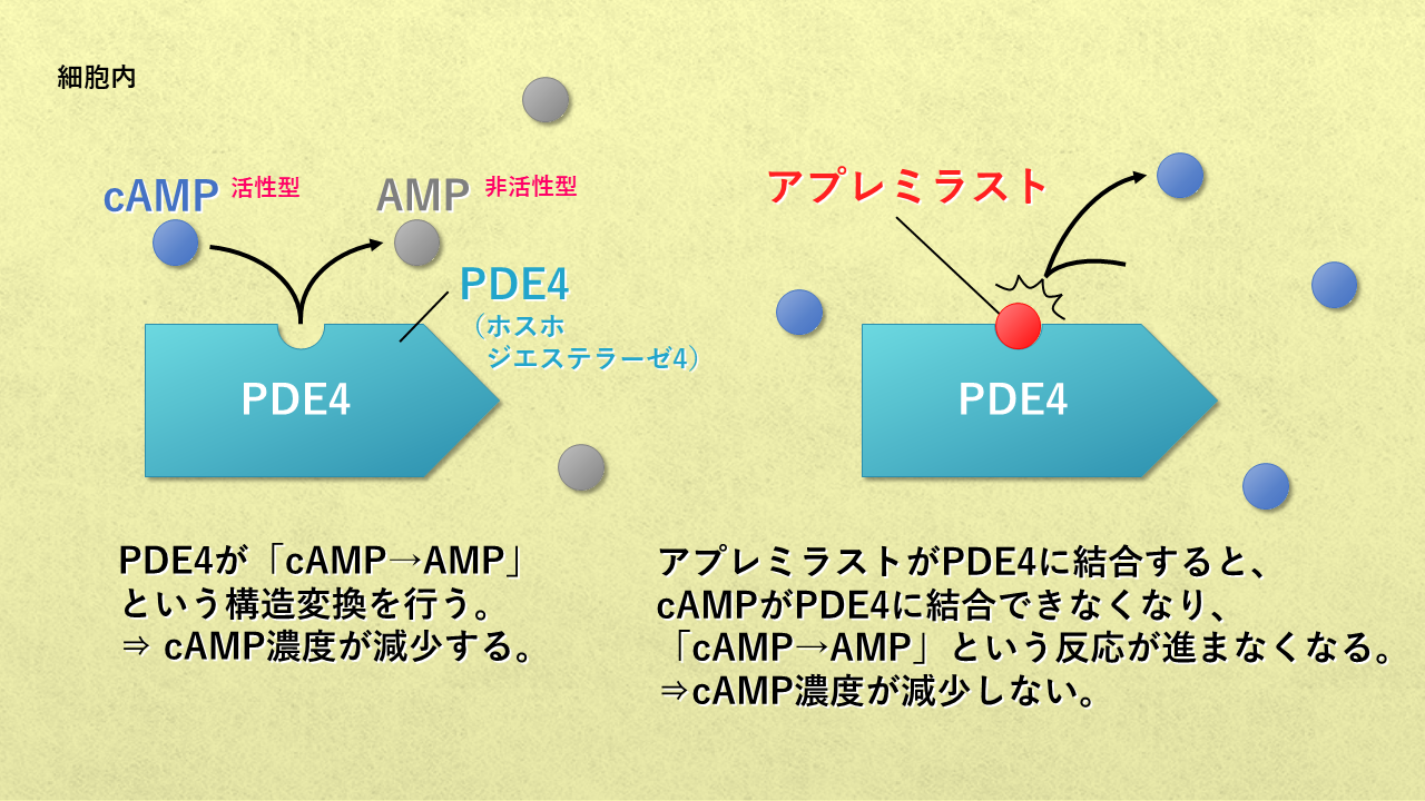 オテズラの相互作用