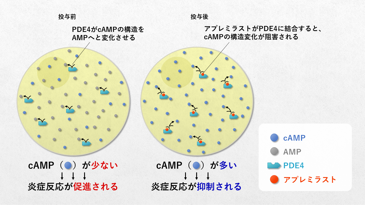 オテズラのコストと節約