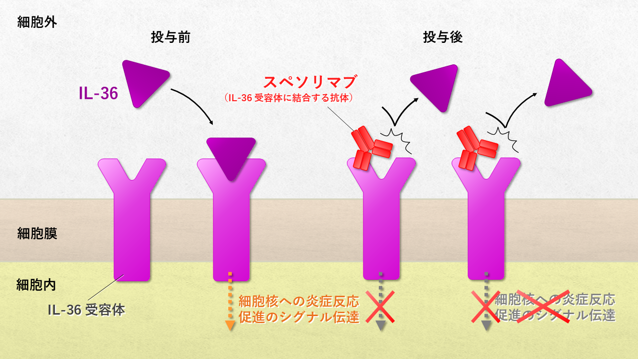 治療を中止する代替策